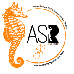 ASR Plongée — Association Subaquatique de Rhuys
